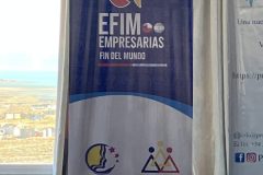 EFIM_03